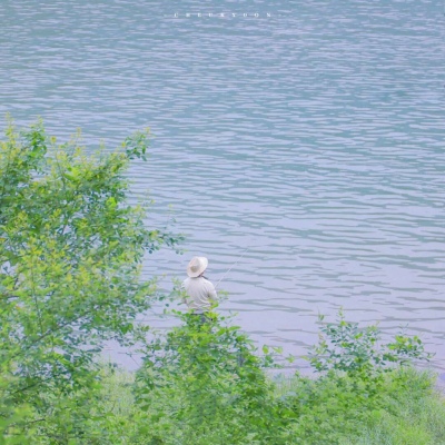 兽设晴天场景设计兽圈社群